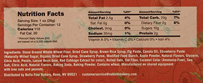 Nature's Bakery Fig Bar, Apple Cinnamon, 2 oz