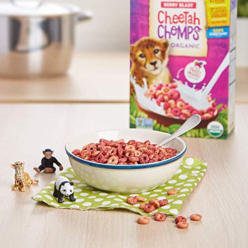 EnviroKidz Leapin’ Lemurs Peanut Butter & Chocolate Organic Cereal,10 Oz Box,Gluten Free