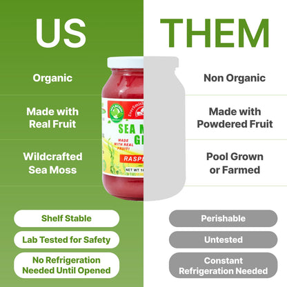 Wildcrafted Irish Sea Moss Gel | Made in USA | Rich in Vitamins & Minerals | Sea Moss Gel Organic Raw | Nutritional Supplement | Mango Pineapple (16 oz)