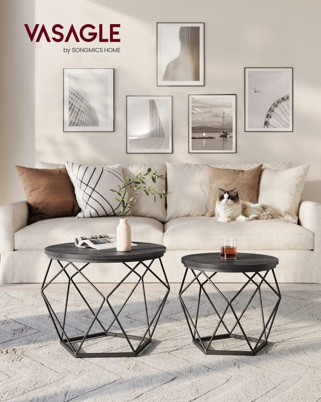 VASAGLE Small Coffee Table Set of 2, Round Coffee Table with Steel Frame, Side End Table for Living Room, Bedroom, Office, Charcoal Gray and Ink Black