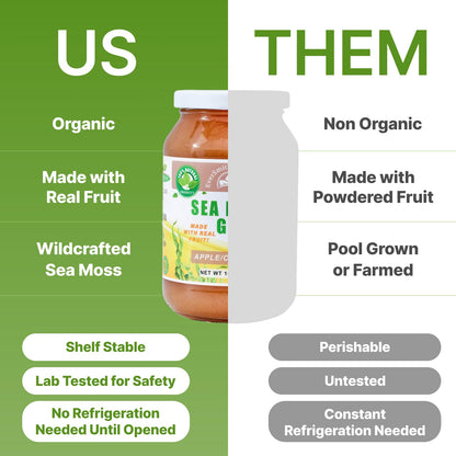 Wildcrafted Irish Sea Moss Gel | Made in USA | Rich in Vitamins & Minerals | Sea Moss Gel Organic Raw | Nutritional Supplement | Mango Pineapple (16 oz)