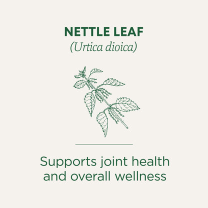 Traditional Medicinals Organic Nettle Leaf Herbal Tea, Supports Joint Health & Overall Wellness, (Pack of 1) - 16 Tea Bags