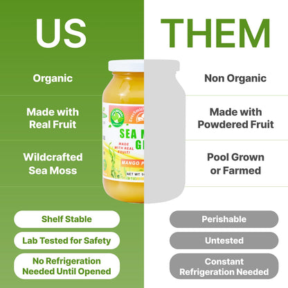 Wildcrafted Irish Sea Moss Gel | Made in USA | Rich in Vitamins & Minerals | Sea Moss Gel Organic Raw | Nutritional Supplement | Mango Pineapple (16 oz)