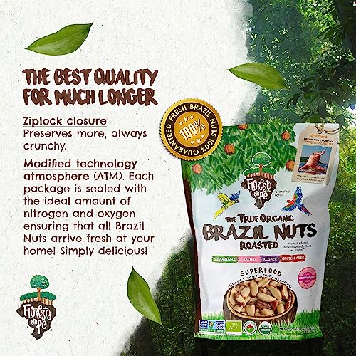 Floresta em Pé The True Organic Premium Brazil Nuts (15oz) Raw & Unsalted | Kosher | Non-Gmo | Certified Organic | Fresh | Vegan | Gluten Free | Keto & Paleo Friendly | Sustainably Harvested