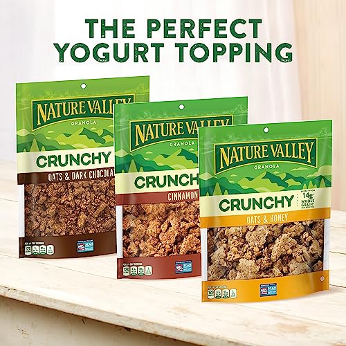 Nature Valley Protein Granola, Oats and Honey, Family Size, Resealable Bag, 17 OZ