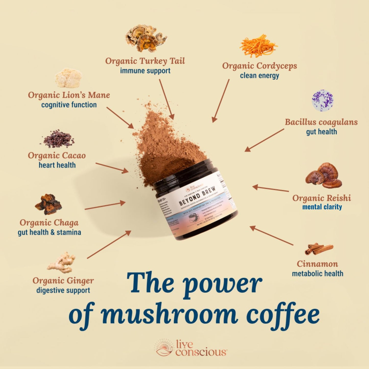 Beyond Brew Mushroom Superfood Coffee | Mushroom Coffee Alternative Low Caffeine | Healthy Coffee Substitute | W/ Prebiotics & Probiotics | By Live Conscious | 30 Servings