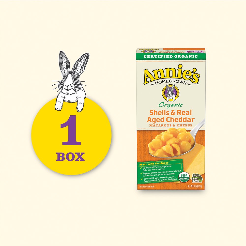 Annie's White Cheddar Shells Macaroni and Cheese with Organic Pasta, 6 oz (Pack of 12)