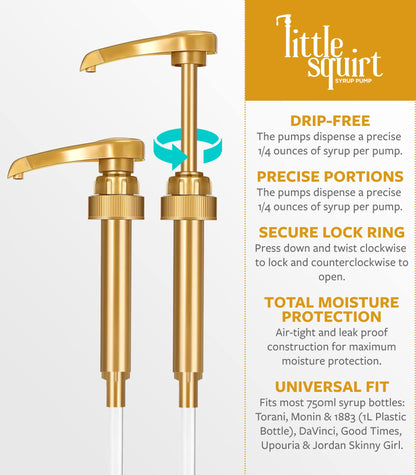 3-Pack Jordan’s Skinny Syrup Pumps | Fits 750ml Jordan’s Skinny Syrup Bottles