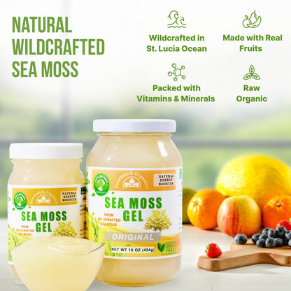 Wildcrafted Irish Sea Moss Gel | Made in USA | Rich in Vitamins & Minerals | Sea Moss Gel Organic Raw | Nutritional Supplement | Mango Pineapple (16 oz)