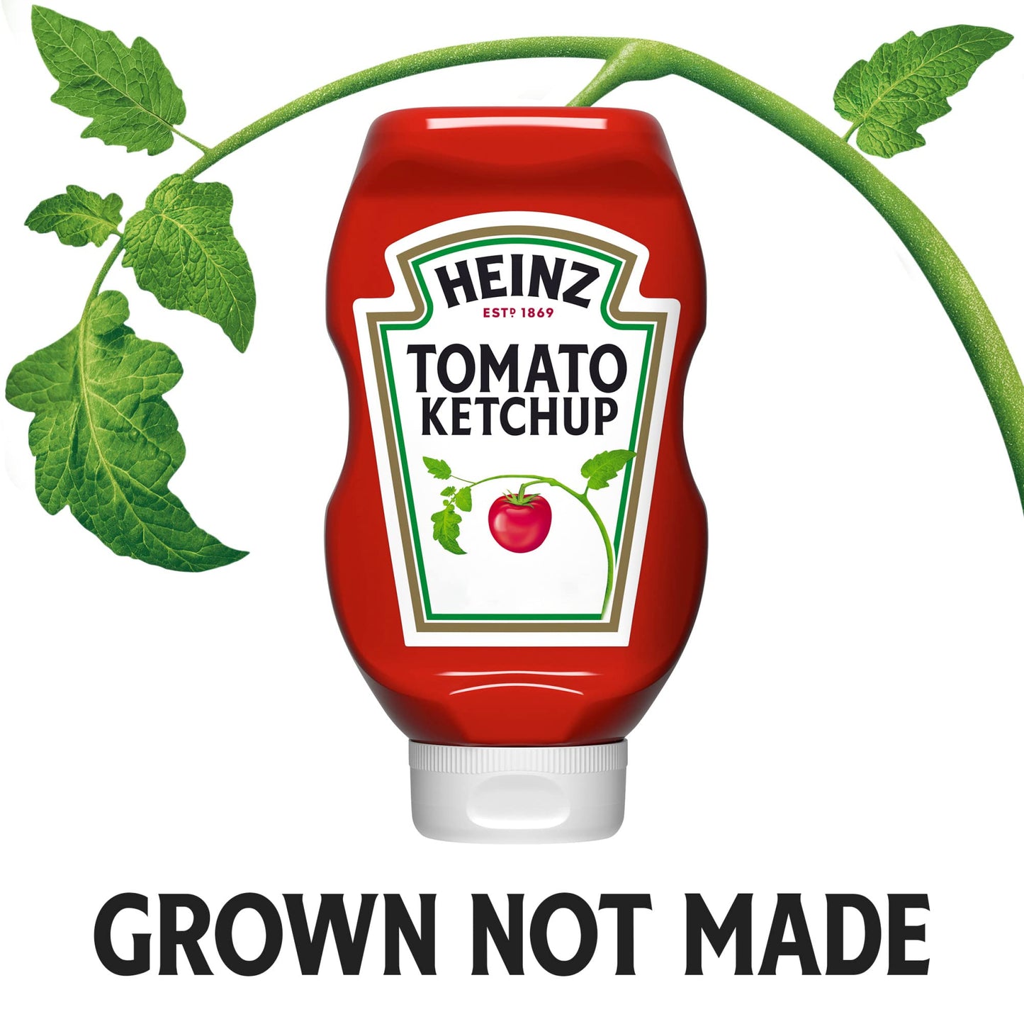 Heinz Tomato Ketchup (32 oz Bottle)