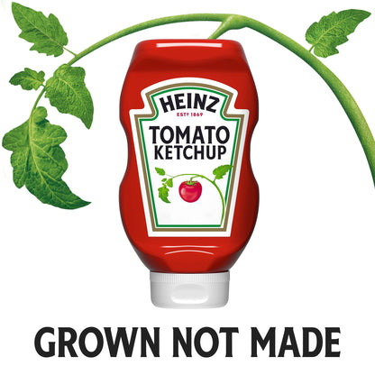 Heinz Tomato Ketchup (32 oz Bottle)