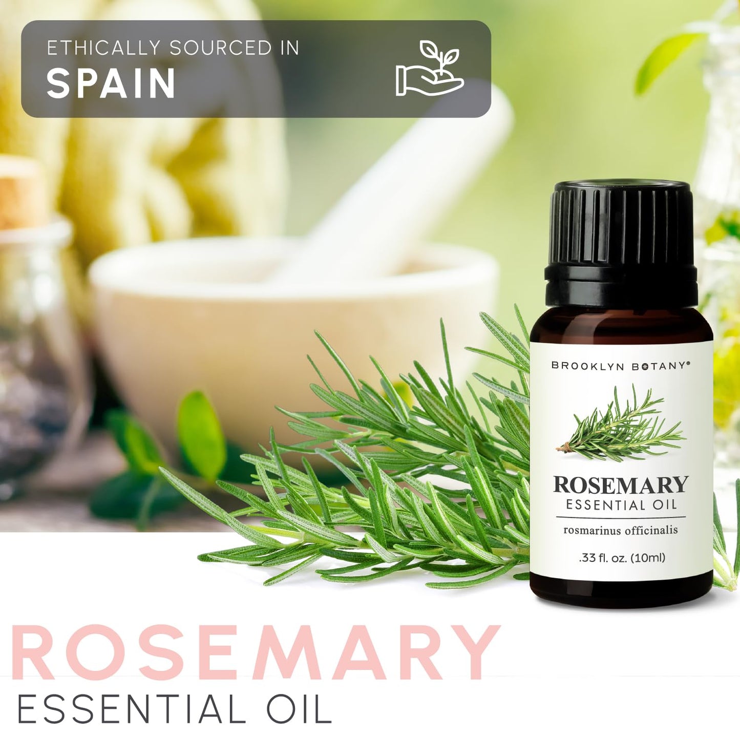 Brooklyn Botany Basil Essential Oil - 100% Pure and Natural - Premium Grade Essential Oil - for Aromatherapy and Diffuser - 0.33 Fl Oz