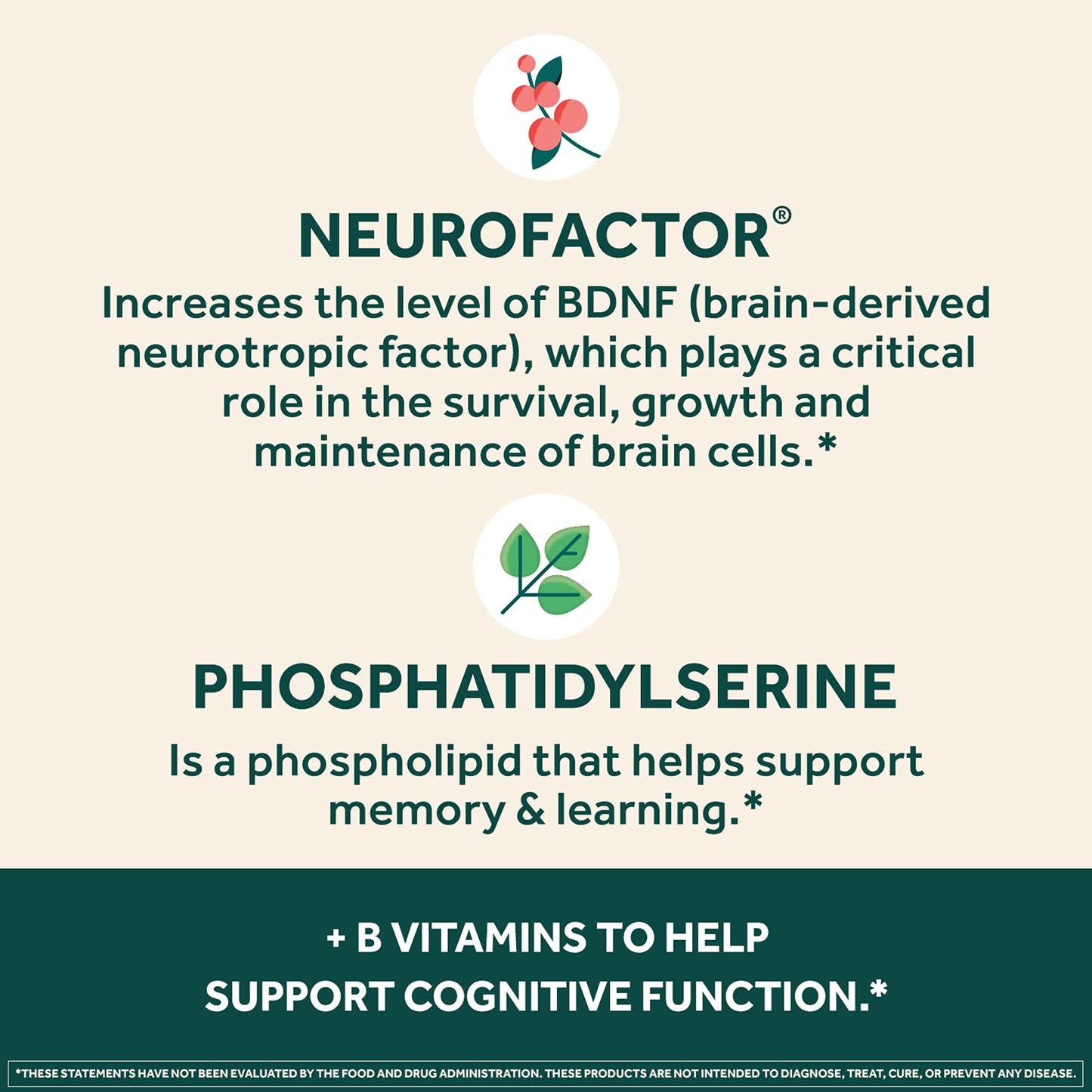 NEURIVA Plus Brain Supplement for Memory and Focus Clinically Tested Nootropics for Concentration for Mental Clarity, Cognitive Enhancement Vitamins B6, B12, Phosphatidylserine 30 Capsules