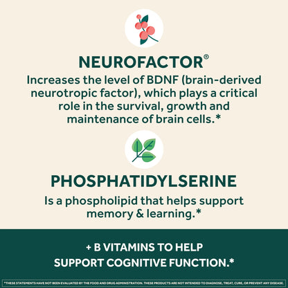 NEURIVA Plus Brain Supplement for Memory and Focus Clinically Tested Nootropics for Concentration for Mental Clarity, Cognitive Enhancement Vitamins B6, B12, Phosphatidylserine 30 Capsules