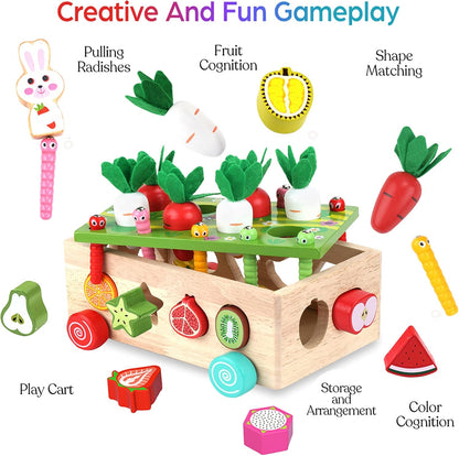 Toddlers Montessori Wooden Educational Toys for Baby Boys Girls Age 1 2 3 Year Old, Shape Sorting Toys 1st One First Birthday Girl Gifts for Kids 1-3, Wood Preschool Learning Fine Motor Skills Game