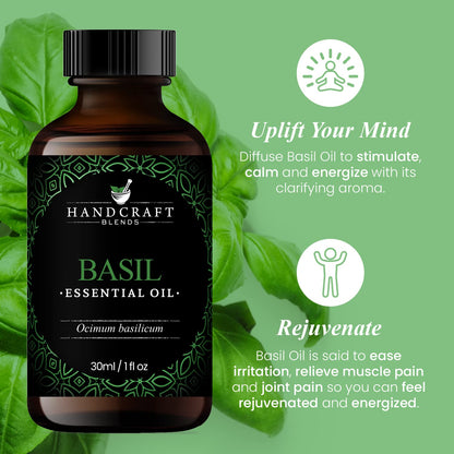 Handcraft Blends Basil Essential Oil - 100% Pure and Natural - Premium Grade Essential Oil for Diffuser and Aromatherapy - 0.33 Fl Oz - Pack of 2