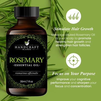 Handcraft Blends Basil Essential Oil - 100% Pure and Natural - Premium Grade Essential Oil for Diffuser and Aromatherapy - 0.33 Fl Oz - Pack of 2