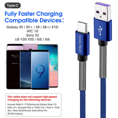 USB Type C Cable 10ft, [2 Pack] USB A 2.0 to USB-C 10 ft Type C Fast Charger Extra Long Durable TPE USBC to USBA Cord for iPhone 15 Pro Samsung Galaxy A10/A20/A51/S10/S9/S8 Plus/Note 9/8,LG