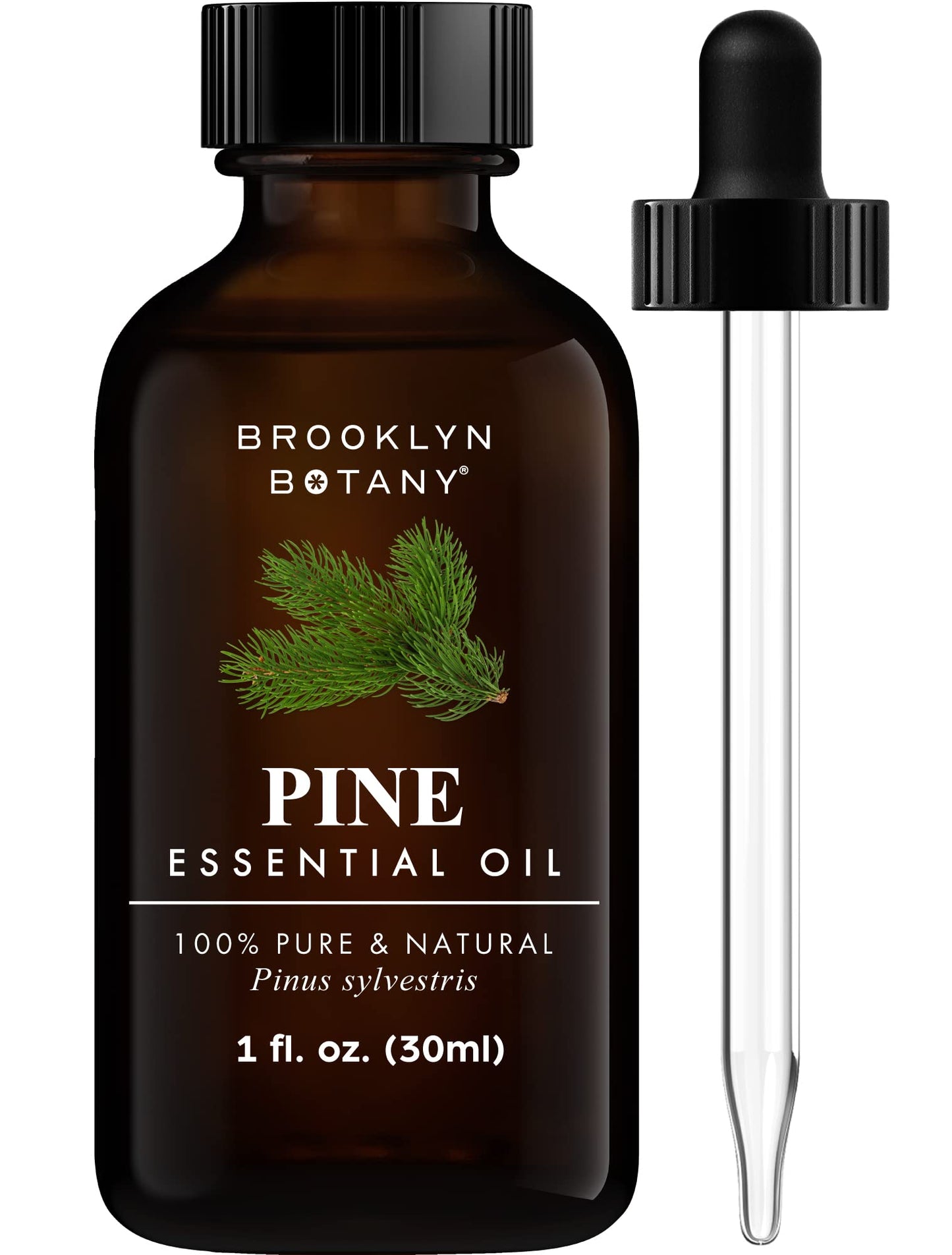 Brooklyn Botany Basil Essential Oil - 100% Pure and Natural - Premium Grade Essential Oil - for Aromatherapy and Diffuser - 0.33 Fl Oz