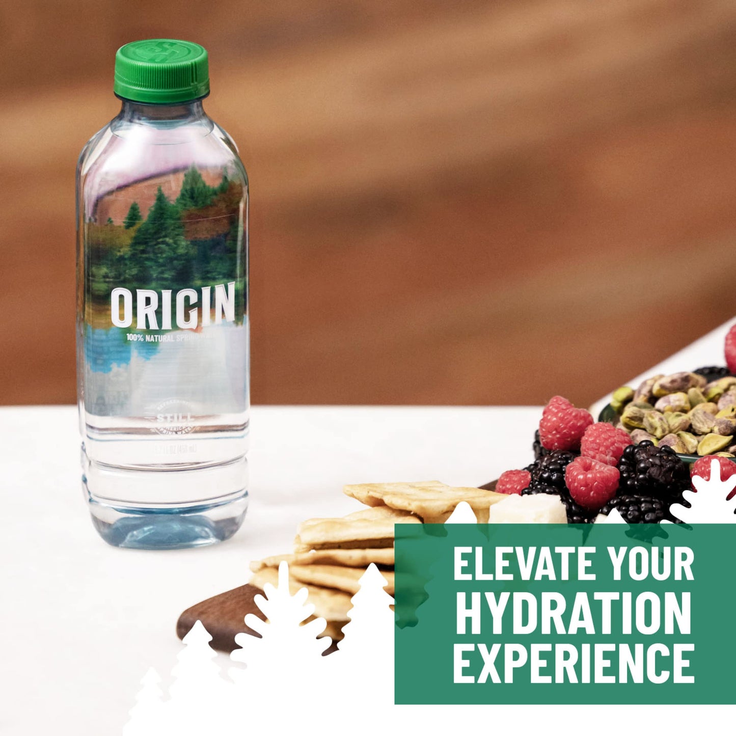 ORIGIN, 100% Natural Spring Water, 900 mL, Recycled Plastic Bottle, 30.4 Fl Oz (Pack of 12)