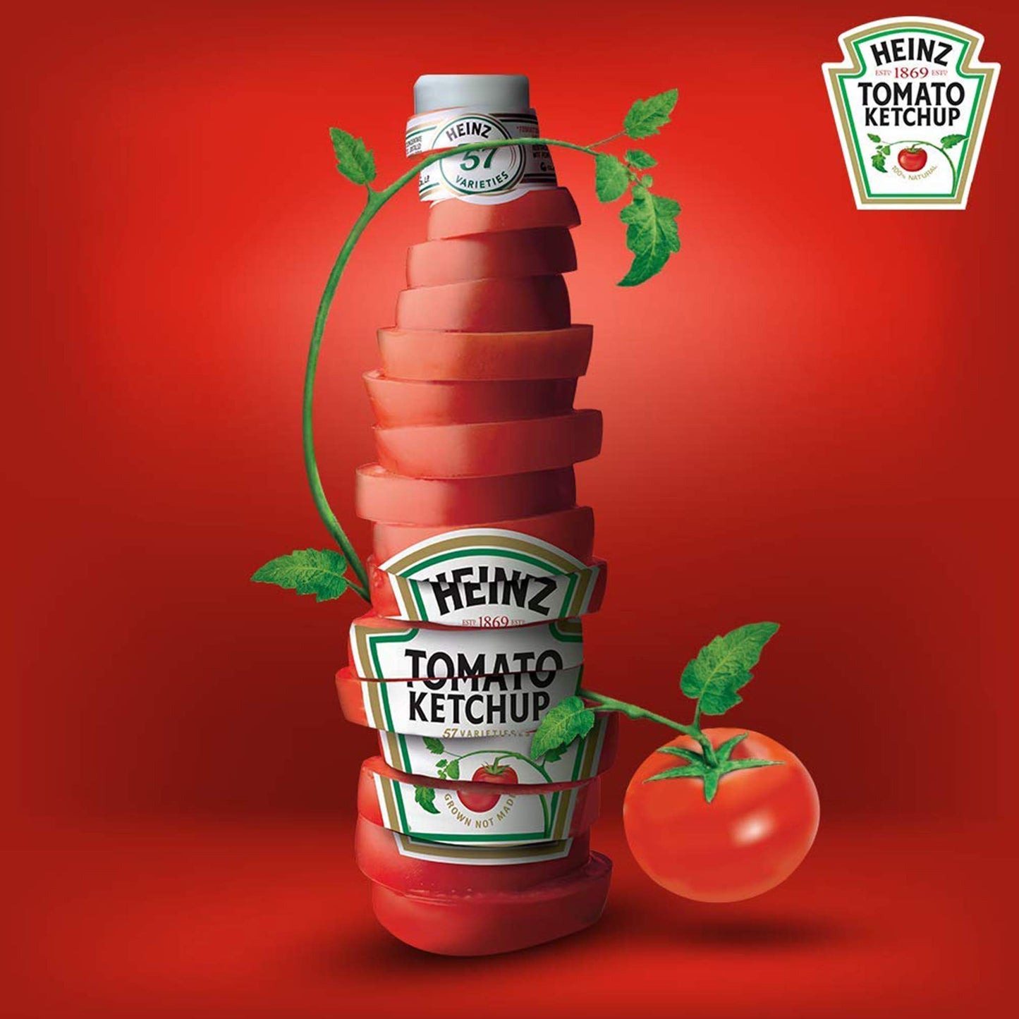 Heinz Tomato Ketchup (32 oz Bottle)