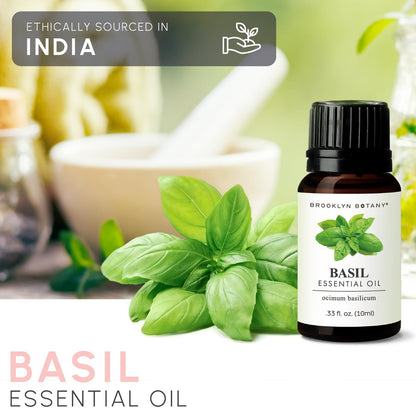 Brooklyn Botany Basil Essential Oil - 100% Pure and Natural - Premium Grade Essential Oil - for Aromatherapy and Diffuser - 0.33 Fl Oz