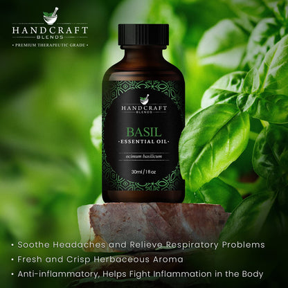 Handcraft Blends Basil Essential Oil - 100% Pure and Natural - Premium Grade Essential Oil for Diffuser and Aromatherapy - 0.33 Fl Oz - Pack of 2