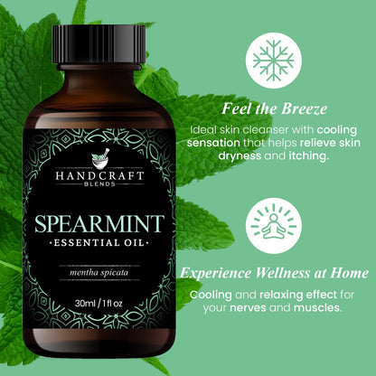 Handcraft Blends Basil Essential Oil - 100% Pure and Natural - Premium Grade Essential Oil for Diffuser and Aromatherapy - 0.33 Fl Oz - Pack of 2