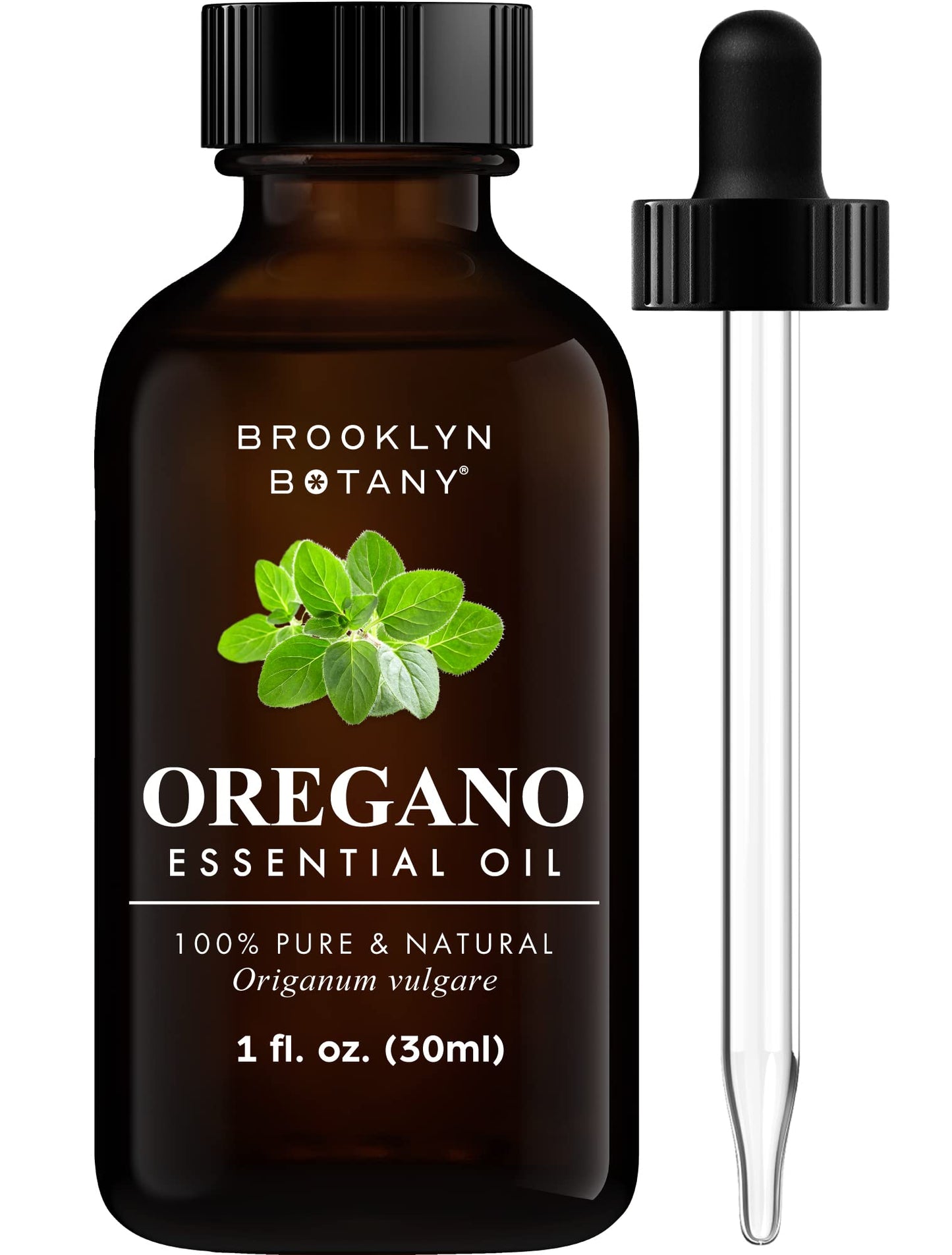 Brooklyn Botany Basil Essential Oil - 100% Pure and Natural - Premium Grade Essential Oil - for Aromatherapy and Diffuser - 0.33 Fl Oz