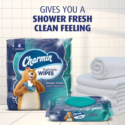 Charmin Flushable Wipes, , 40 Wipes (Pack of 4), 160 Total Wipes