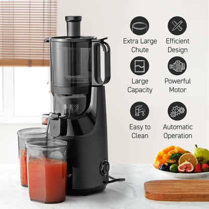 Elite Gourmet ETS623 BPA-Free Electric Citrus Juicer, Compact, Large Volume, Pulp Control, Oranges, Lemons, Limes, Grapefruits with Easy Pour Spout, 24oz, Black/Stainless Steel