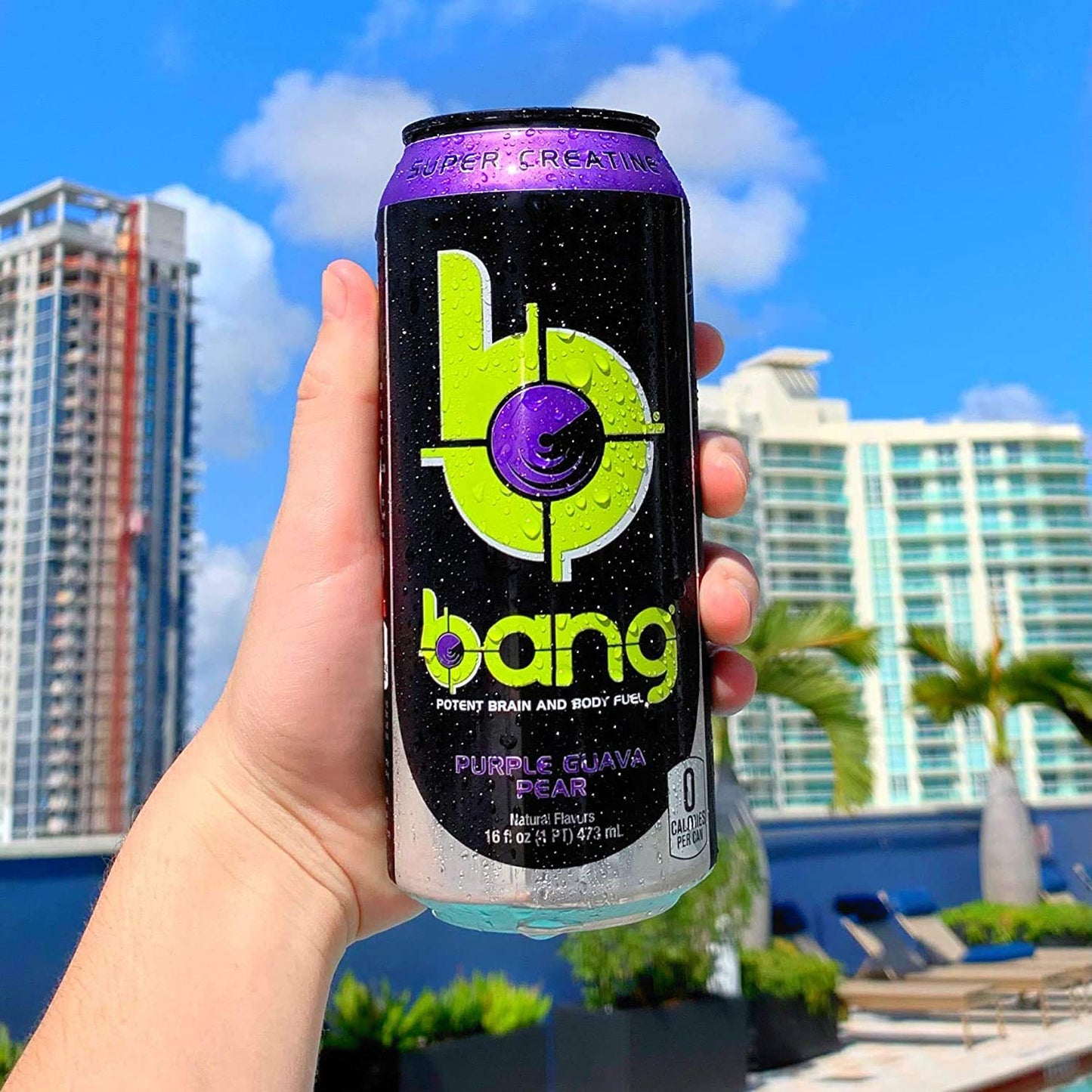 Bang Energy Bangster Berry, Sugar-Free Energy Drink, 16-Ounce (Pack of 12)