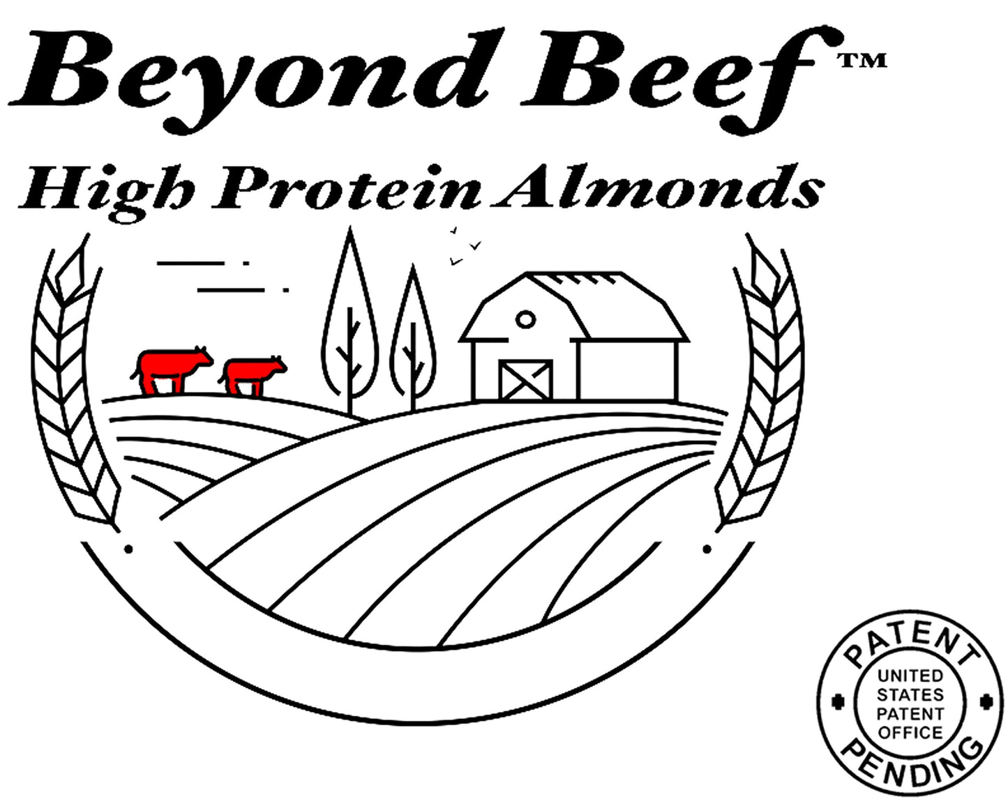 Wild Soil Beyond Almonds, Unflavored– 20% Higher Protein Than Other Almonds, Distinct and Superior to Organic, Raw