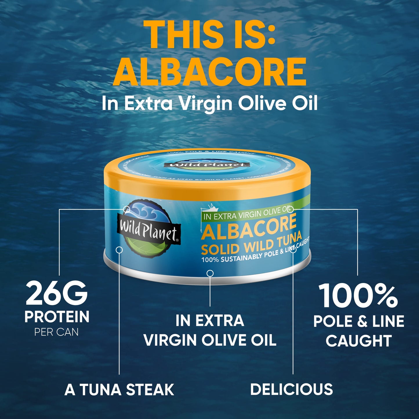 Wild Planet Wild Albacore Tuna, No Salt Added, Canned Tuna, Sustainably Wild-Caught, Non-GMO, Kosher 5 Ounce (Pack of 12), Packaging May Vary