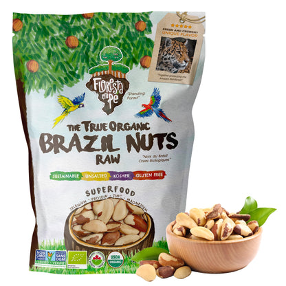 Floresta em Pé The True Organic Premium Brazil Nuts (15oz) Raw & Unsalted | Kosher | Non-Gmo | Certified Organic | Fresh | Vegan | Gluten Free | Keto & Paleo Friendly | Sustainably Harvested