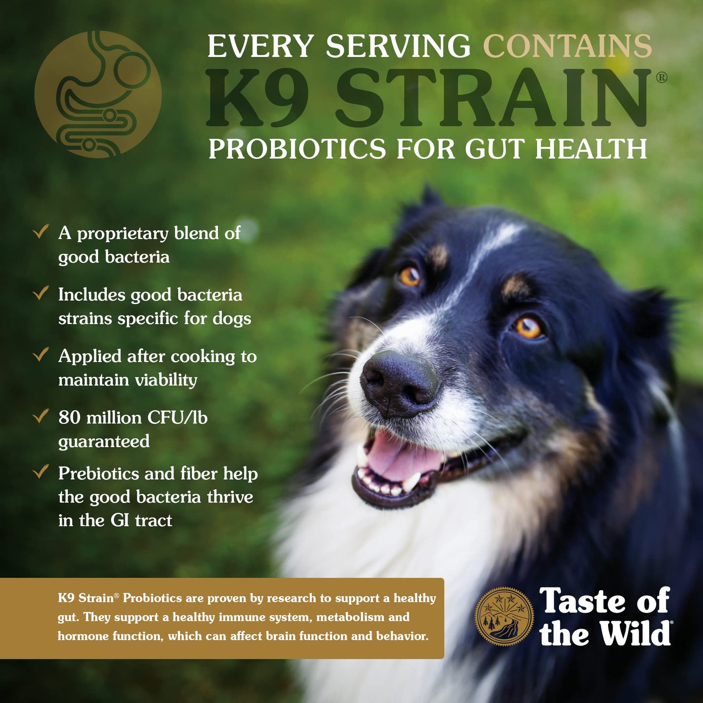 Taste of the Wild High Prairie Canine Grain-Free Recipe with Roasted Bison and Venison Adult Dry Dog Food, Made with High Protein from Real Meat and Guaranteed Nutrients and Probiotics 28lb