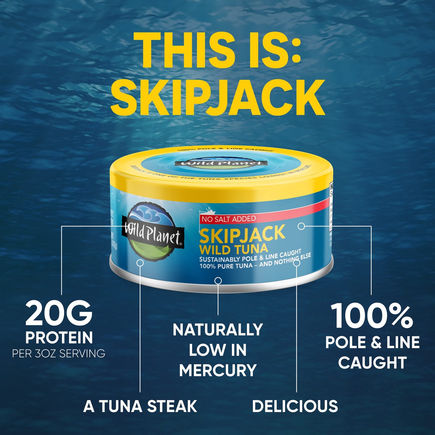 Wild Planet Skipjack Wild Tuna, Sea Salt, Canned Tuna, Pole & Line Sustainably Wild-Caught, Non-GMO, Kosher, 5 Ounce Can (Pack of 12)