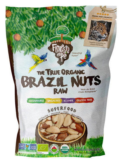 Floresta em Pé The True Organic Premium Brazil Nuts (15oz) Raw & Unsalted | Kosher | Non-Gmo | Certified Organic | Fresh | Vegan | Gluten Free | Keto & Paleo Friendly | Sustainably Harvested