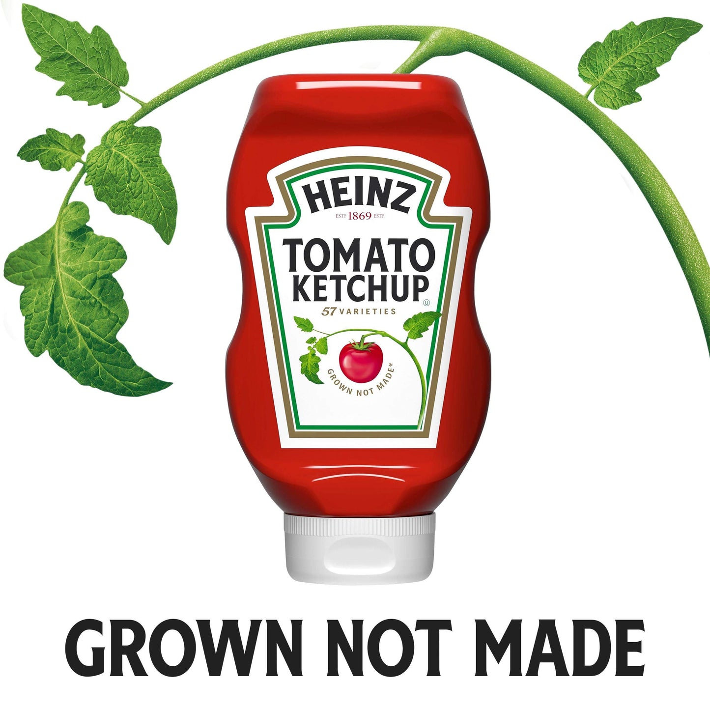 Heinz Tomato Ketchup (32 oz Bottle)