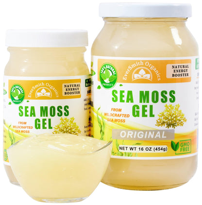 Wildcrafted Irish Sea Moss Gel | Made in USA | Rich in Vitamins & Minerals | Sea Moss Gel Organic Raw | Nutritional Supplement | Mango Pineapple (16 oz)