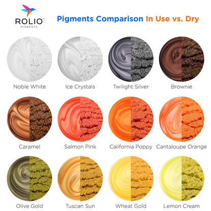 Rolio Premium Mica Powder Pearlescent Color Pigment - Art Set for Resin Epoxy - for Soap Making, Nail Polish, Lip Gloss, Eye Shadow, Slime & Candle Jars - 10g, 24 Jars - (Original Set)