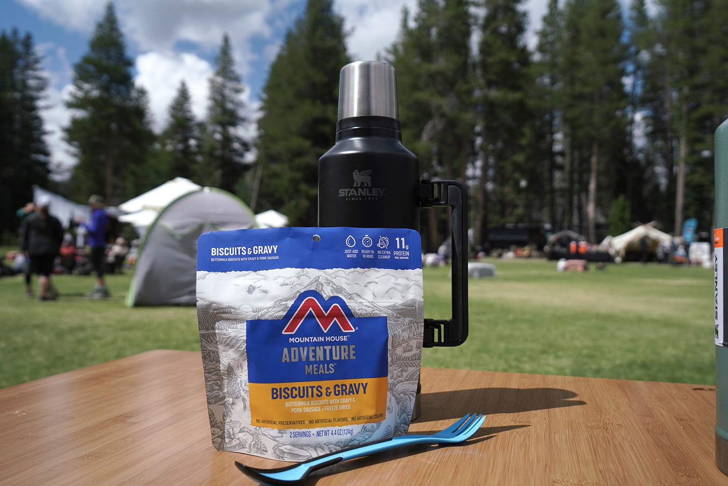 Mountain House Vanilla Ice Cream Sandwich | Freeze Dried Backpacking & Camping Food | 1 Serving