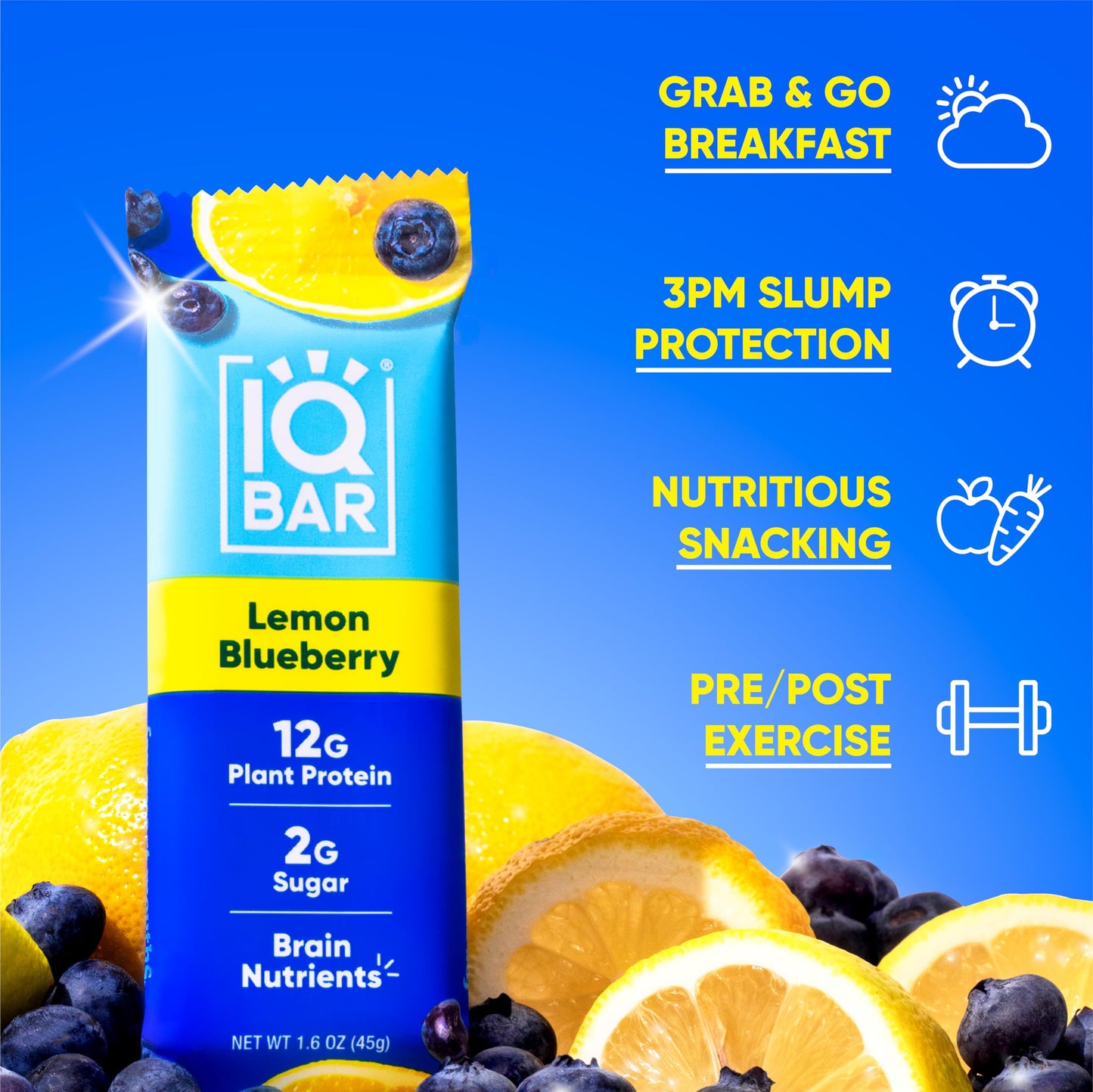 IQBAR Brain and Body Plant Protein Bars - Almond Butter Chip - 12 Count, Low Carb, High Fiber, Gluten Free, Vegan Snacks - Low Sugar Keto Energy Bars