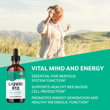 Vimergy USDA Organic B12, 30 Servings – Alcohol Free B-12 Liquid Vitamin - Supports Brain Energy, Nervous System, Cognition, Memory - No Gluten, Non-GMO, Vegan & Paleo - Naturally Sweet Flavor (30 ml)