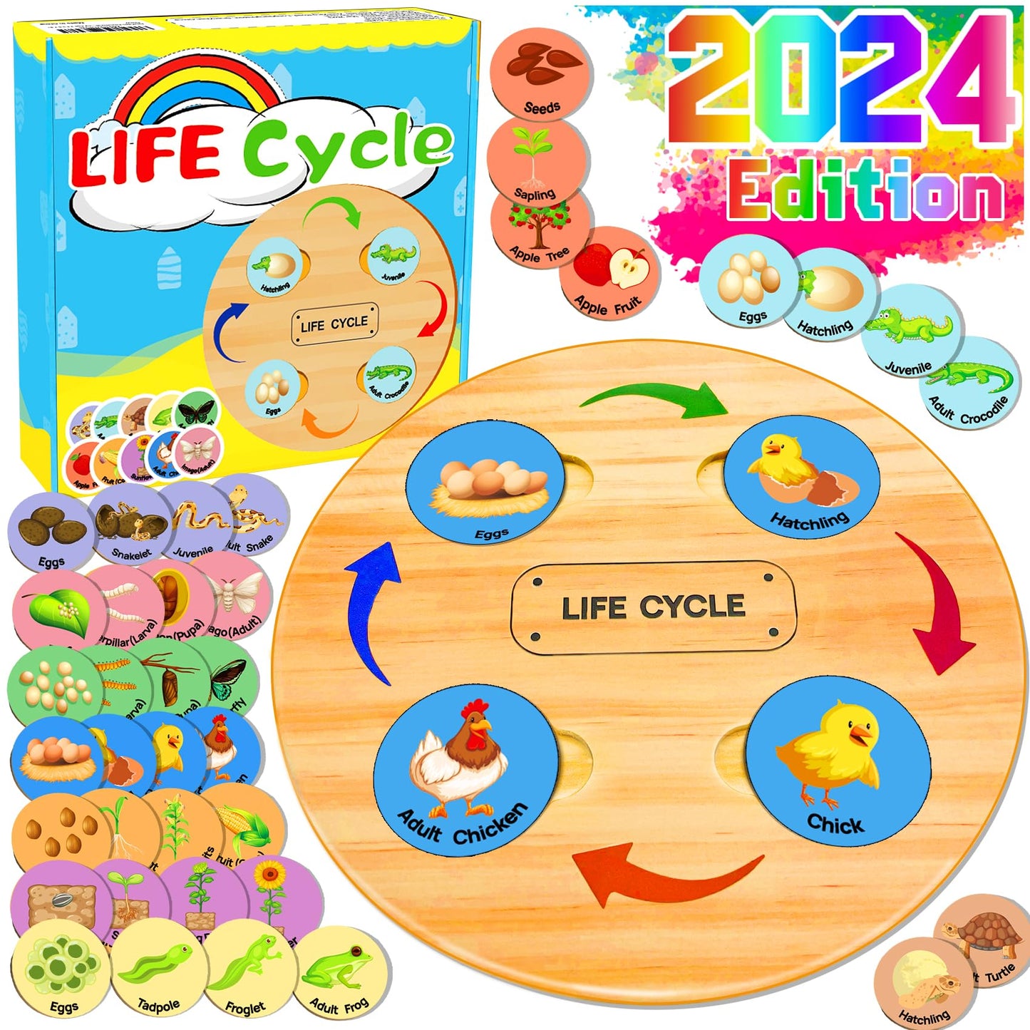 Life Cycle Toys for Kids, Learning & Educational Toys, Montessori Toys for Toddler Preschool Science Learning Activities Toys for Age 3 4 5 6 7 8+