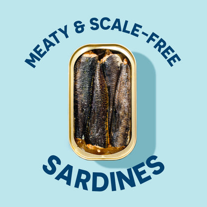 Wild Planet Wild Sardines in Extra Virgin Olive Oil, Lightly Smoked, Tinned Fish, Sustainably Wild-Caught, Non-GMO, Kosher, Gluten Free, 4.4. Ounce (Pack of 12)