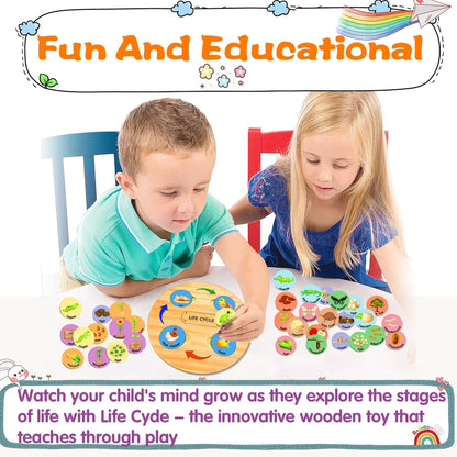 Life Cycle Toys for Kids, Learning & Educational Toys, Montessori Toys for Toddler Preschool Science Learning Activities Toys for Age 3 4 5 6 7 8+