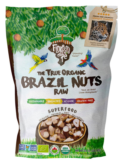 Floresta em Pé The True Organic Premium Brazil Nuts (15oz) Raw & Unsalted | Kosher | Non-Gmo | Certified Organic | Fresh | Vegan | Gluten Free | Keto & Paleo Friendly | Sustainably Harvested