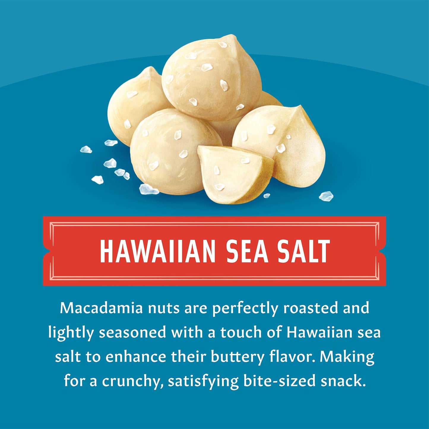 Mauna Loa Premium Hawaiian Roasted Macadamia Nuts, Sea Salt Flavor, 8 Oz