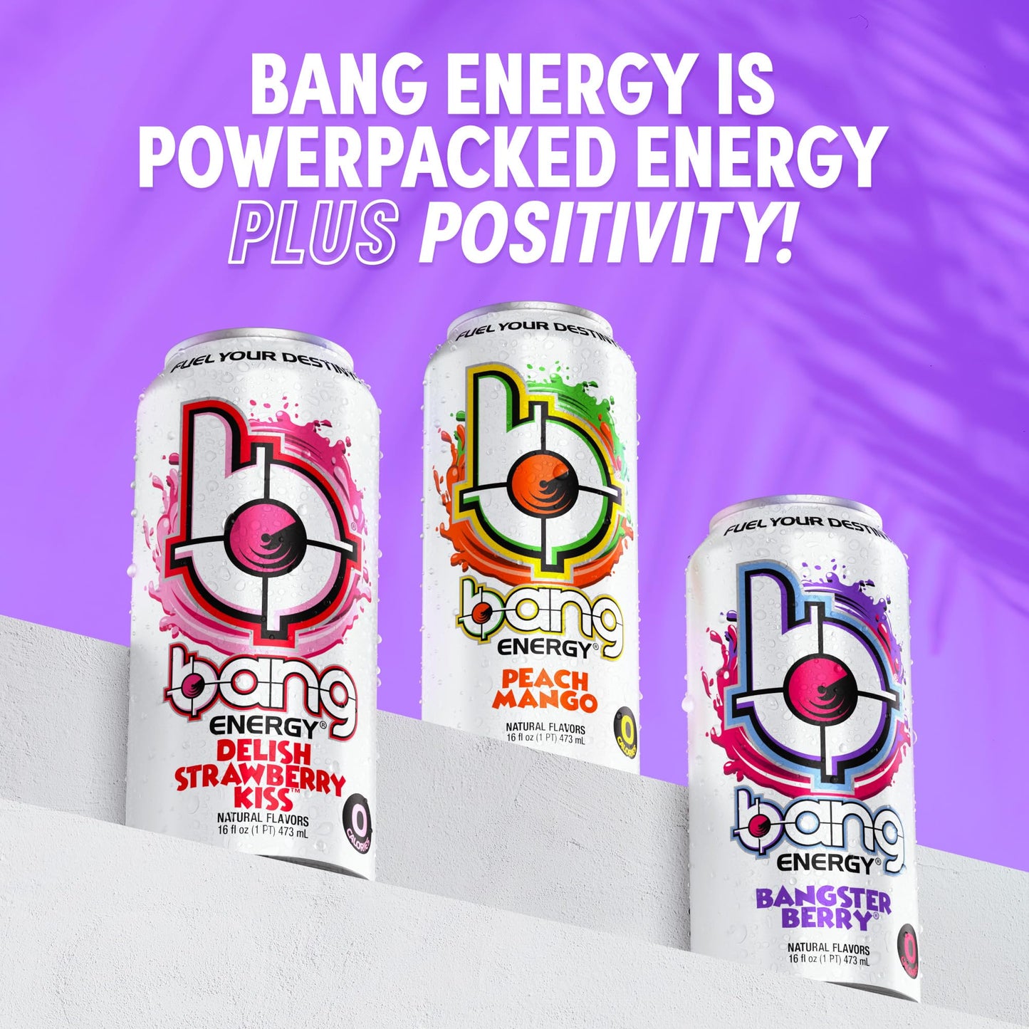 Bang Energy Bangster Berry, Sugar-Free Energy Drink, 16-Ounce (Pack of 12)